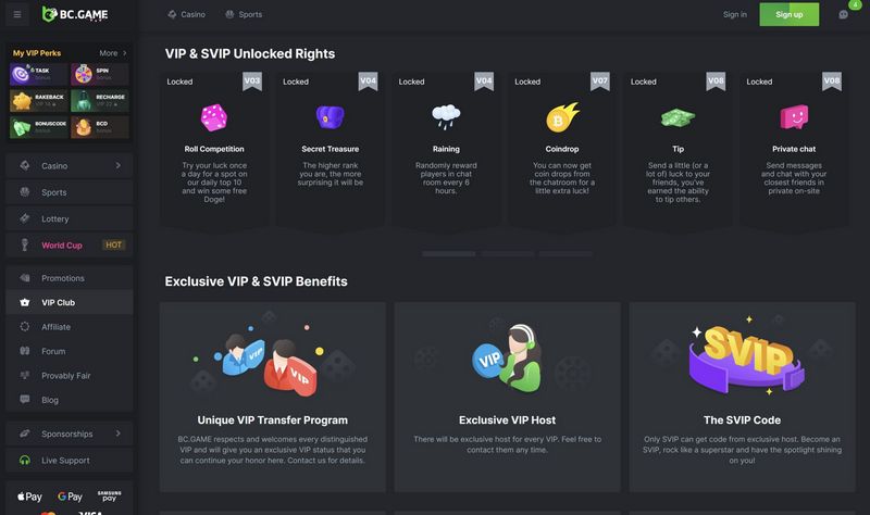 BC.Game: A Hub of Global Video Gaming, Crypto Thrills, and Exclusive Benefits